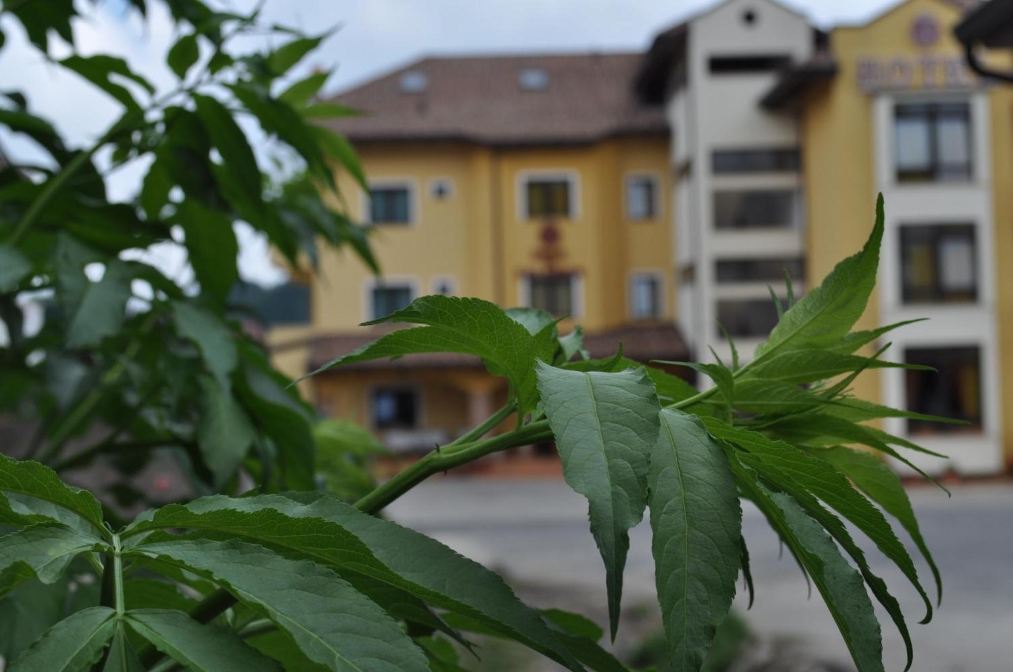 Hotel Duca Di Calabria Serra San Bruno Esterno foto